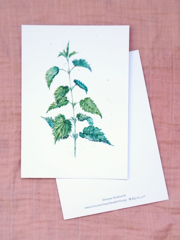 Premium Postkarte "Brennessel"